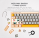 Armaggeddon GMK 100 RGB 60% Tri Mode Mechanical Keyboard 63 Key Hot Swappable, Bluetooth, 2.4GHz Wireless, USB-C, Linear Switches