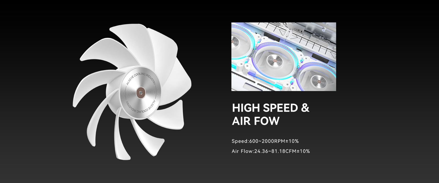 ALSEYE W12 PLUS (REVERSE)